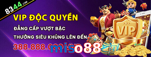 miso88