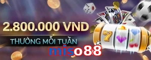 miso88