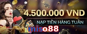 miso88