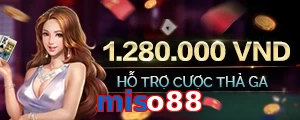 miso88