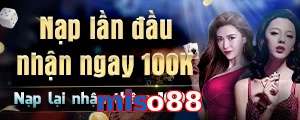 miso88