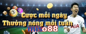 miso88